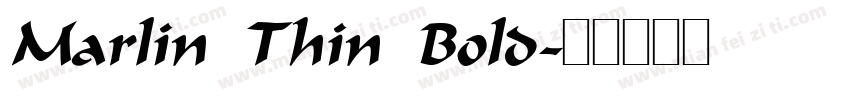 Marlin Thin Bold字体转换